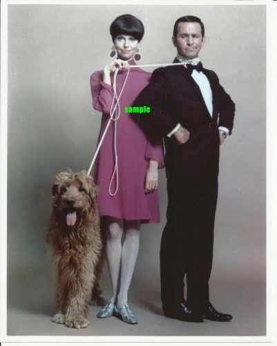 Get Smart TV-Műsor Ne Adams a bérleti szerződést a nyakában & a kutya által tartott Barbara Feldonnal rózsaszín ruha 2-8