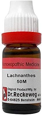 Dr. Reckeweg Németország Lachnanthes Hígítási 50M CH (11 ml)