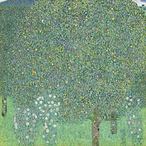 Berkin Művészeti Gustav Klimt Giclee Nyomtatás, Vászon-Híres Festmények, képzőművészeti Poszter-Reprodukció, Fali Dekor(A