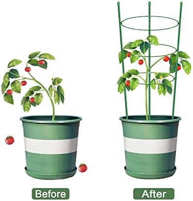Alliico Növény Támogatás Ketrec Kúszó Növény Frissítés Virág Paradicsom ketrec a Tét, Stabil Támogatási Gyűrűk, 3 Csomag