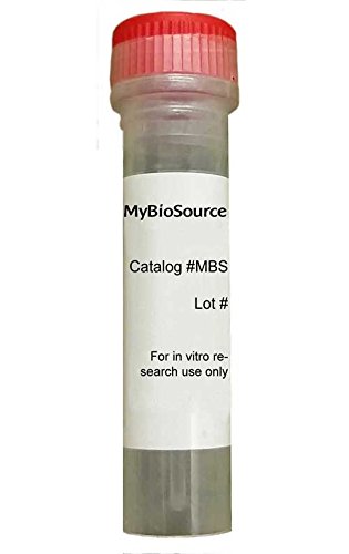 Rekombináns Helicobacter pylori Peptid metionin szulfoxid reduktáz MsrA/MsrB (msrAB)